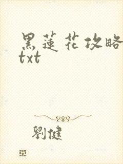 黑莲花攻略手册txt