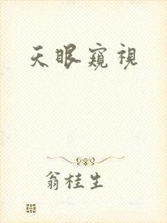 天眼窥视