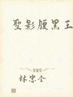 圣影腹黑王子帮