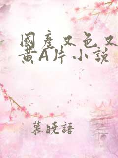 国产又色又爽又黄A片小说