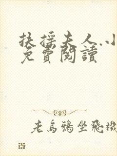 扶摇夫人.小说免费阅读