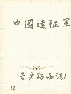 中国远征军下载