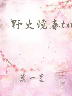野火烧春txt