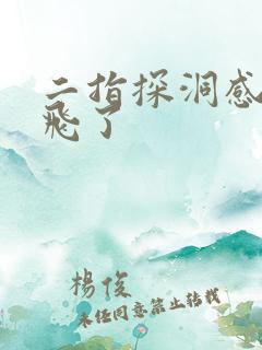 二指探洞感觉要飞了