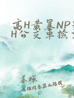 高H黄暴NP辣H公交车检票员