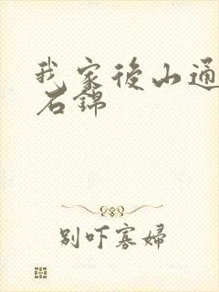 我家后山通仙界石锦