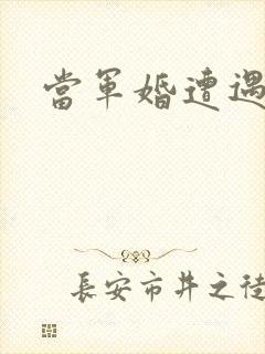 当军婚遭遇爱情