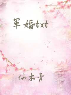 军婚txt