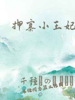 押寨小王妃