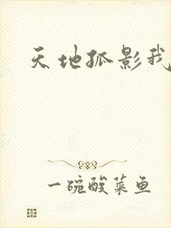 天地孤影我独行