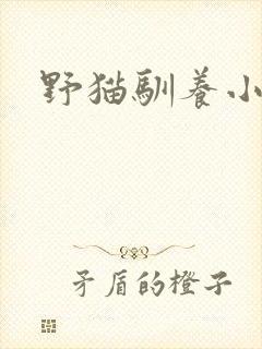 野猫驯养小说