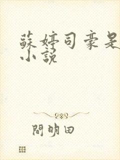 苏婷司豪是什么小说