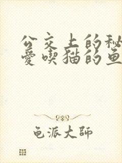 公交上的秘密 爱吃猫的鱼