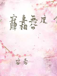 宠妻无度  金牌相公