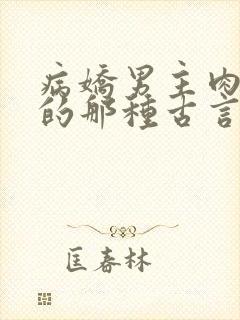 病娇男主肉超多的那种古言