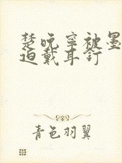 楚晚宁被墨燃强迫戴耳钉