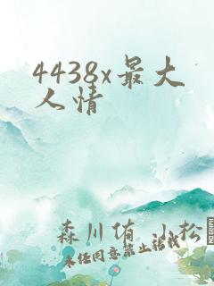 4438x最大人情