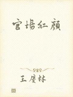 官场红颜
