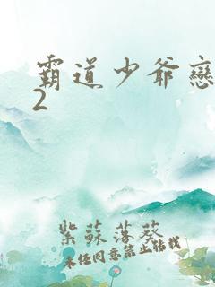 霸道少爷恋上我2