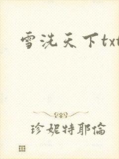 雪洗天下txt