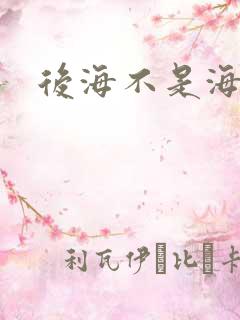 后海不是海小说