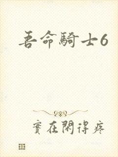吾命骑士6