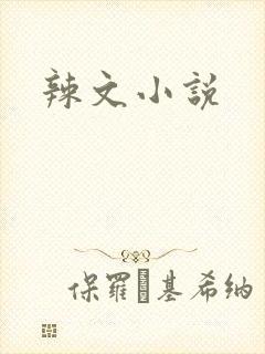辣文小说