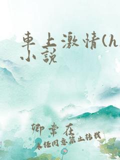 车上激情(h)小说