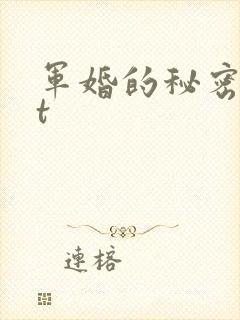 军婚的秘密txt
