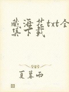 藏海花txt全集下载