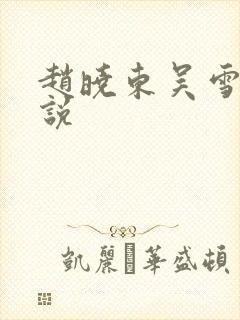 赵晓东吴雪晴小说