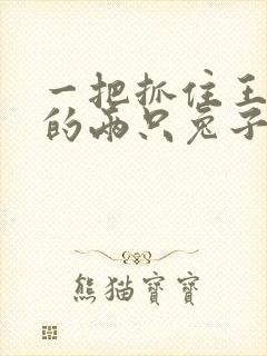 一把抓住王昭君的两只兔子