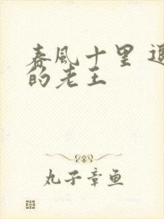 春风十里 退休的老王