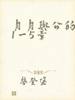 月月与公的激情1一5章