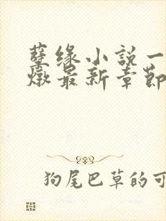 孽缘小说一家乱炖最新章节阅读