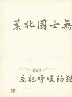 叶北国士无双