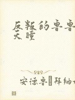 反叛的鲁鲁修之天瞳