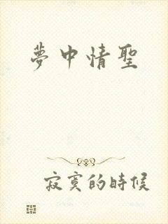 梦中情圣