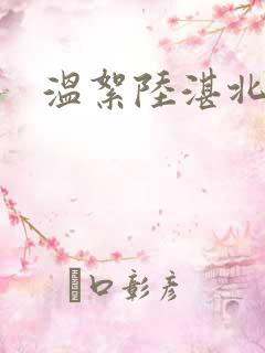 温絮陆湛北