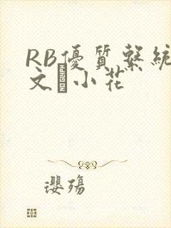RB优质系统全文寀小花