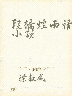 段桥烟雨情难离小说