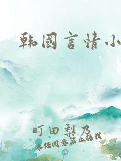 韩国言情小说