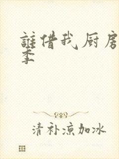 谁借我厨房第三季