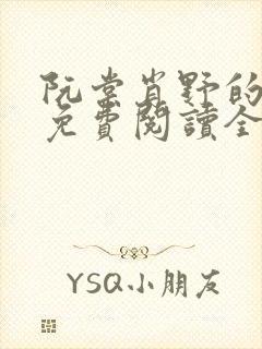 阮棠肖野的小说免费阅读全文