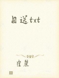 目送txt