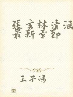 张玄林清涵全文最新章节