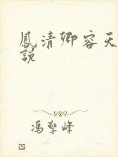 凤清卿容天凌小说