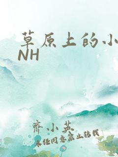草原上的小公主NH