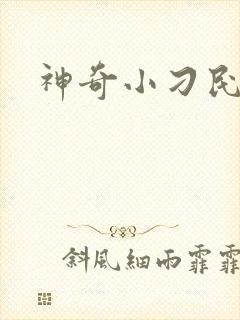 神奇小刁民