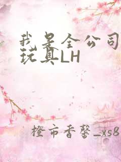我是全公司发泄玩具LH